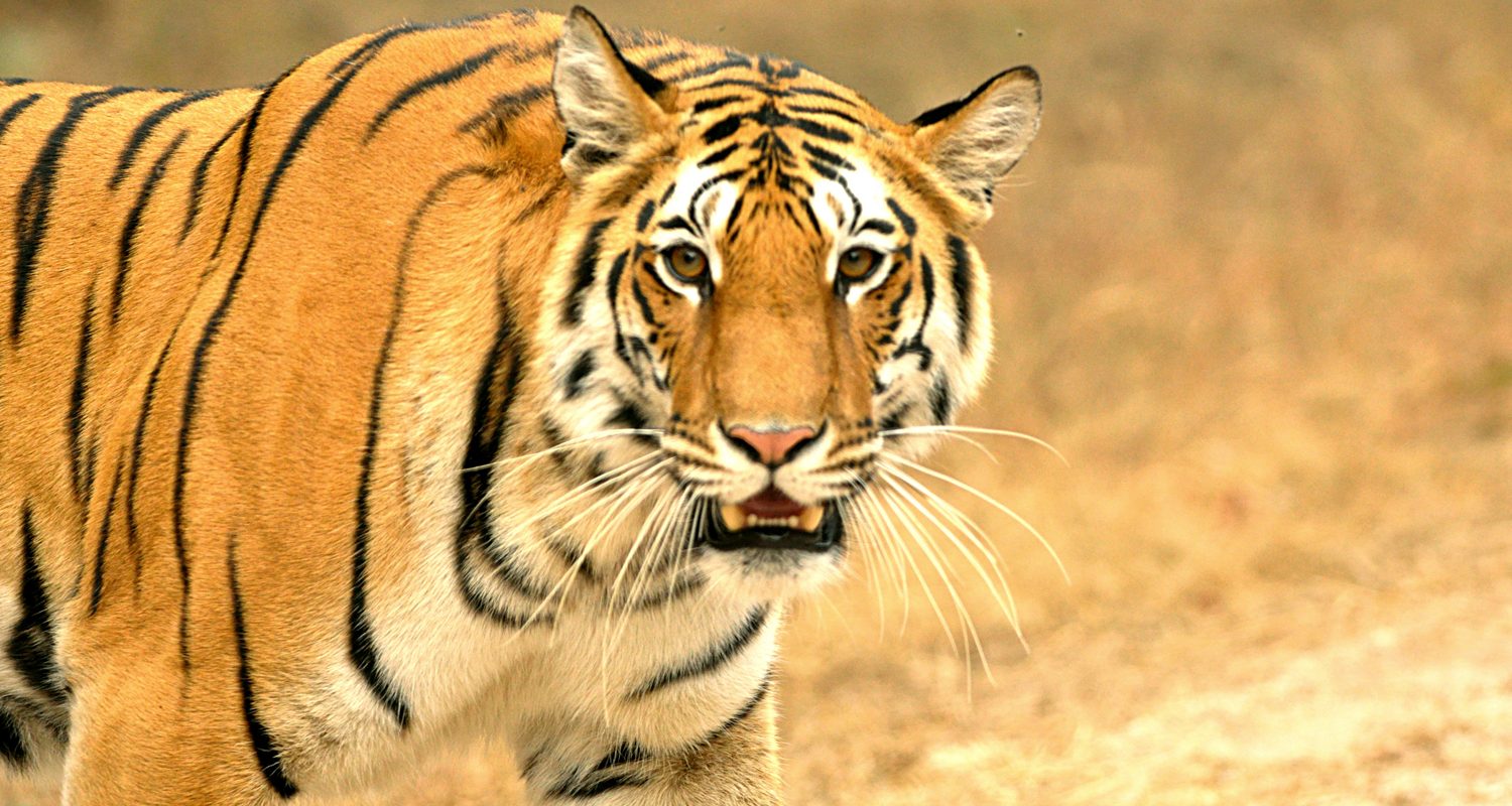 Off Road Trails Wilderness & Outdoors